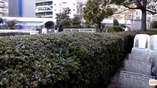feise精品麻豆一区二区⭕❌欧美精品A片XXX⭕❌欧美性猛交XXXX乱大交极品-无码av电影在线观看不卡